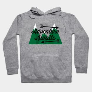 Adventure awaits Hoodie